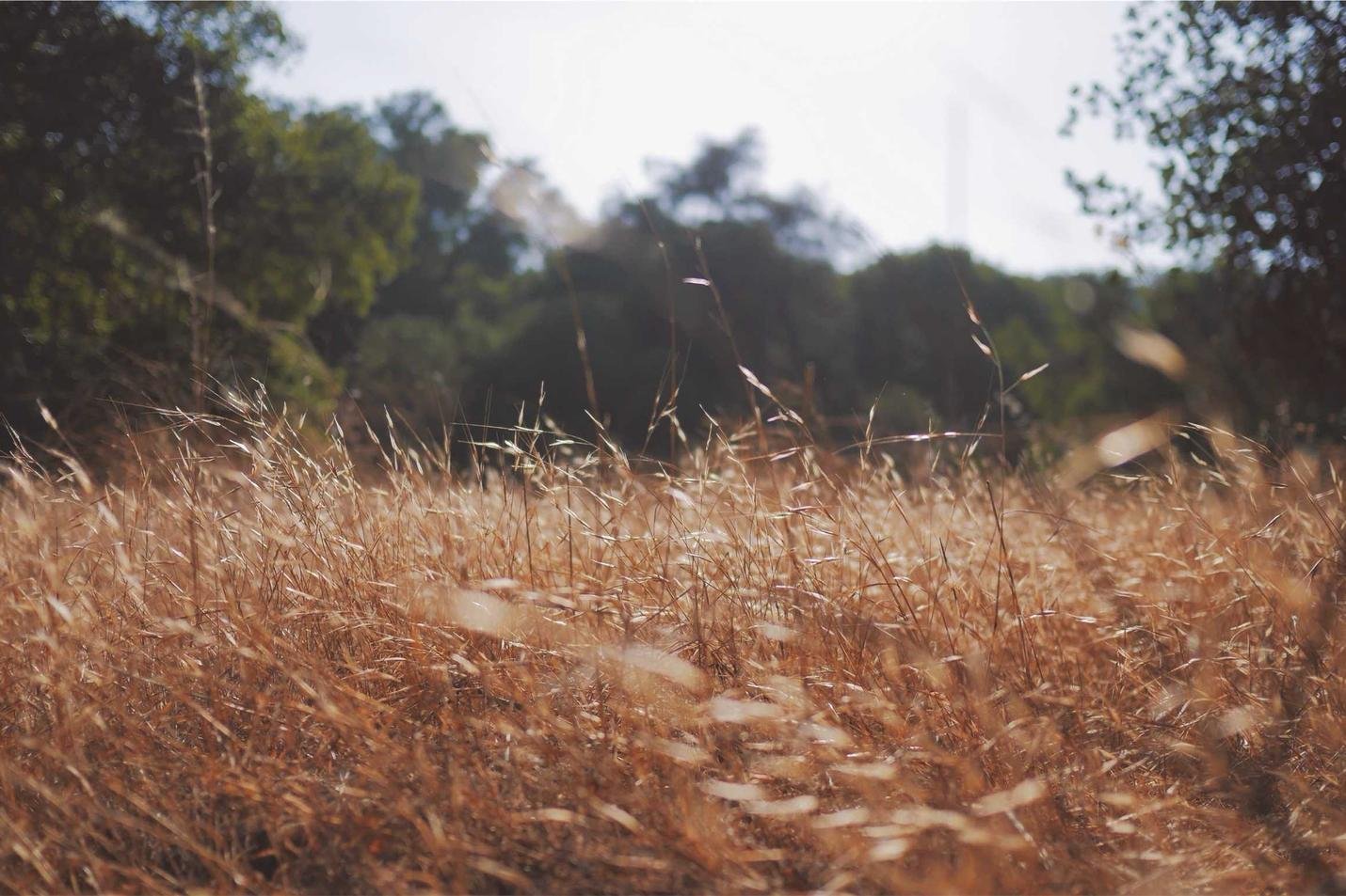 Ut et illo cumque saepe 9f4a3d12 5404 3cb8 B481 708cea25cb7c